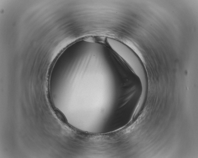 X0000088451093200706121433