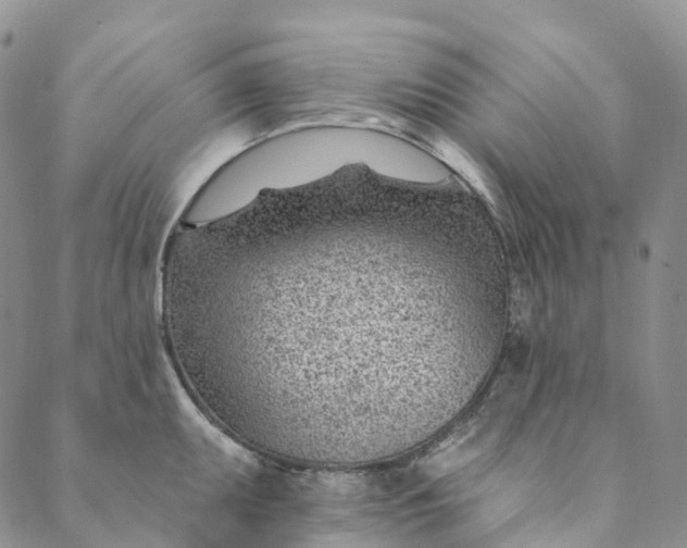 X0000088451095200706121433