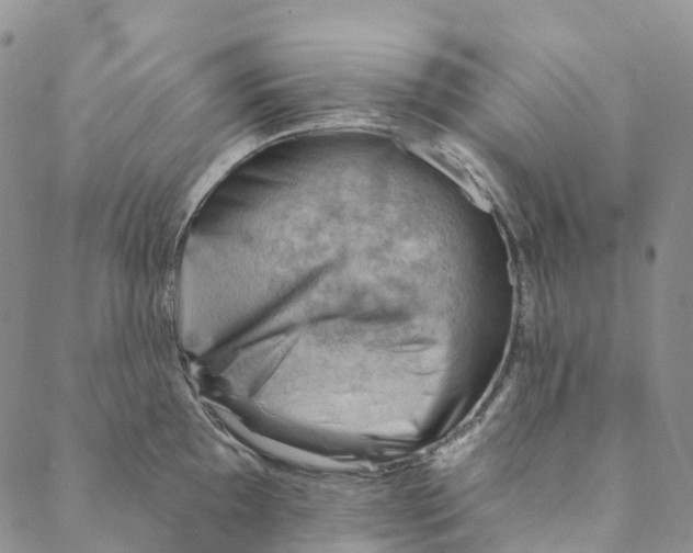 X0000088451097200706121433
