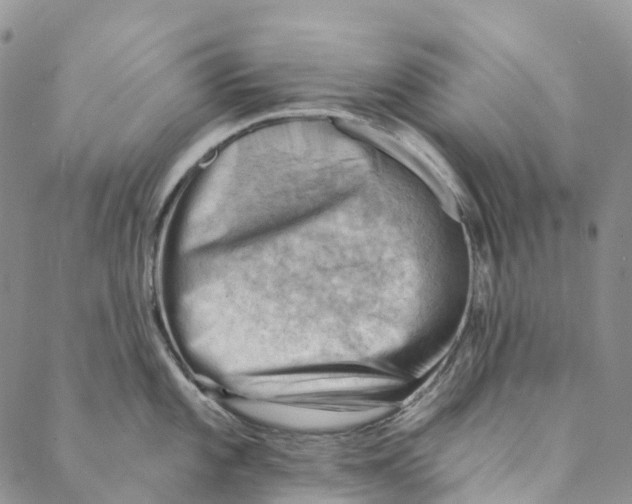 X0000088451101200706121433