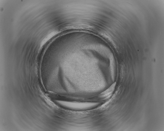 X0000088451114200706121432