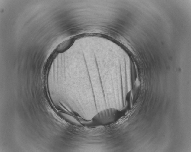 X0000088451116200706121432