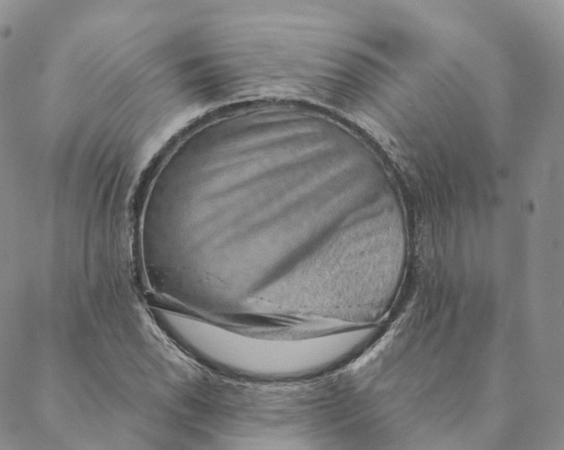 X0000088451118200706121432