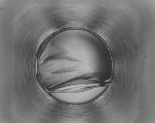 X0000088451123200706121432