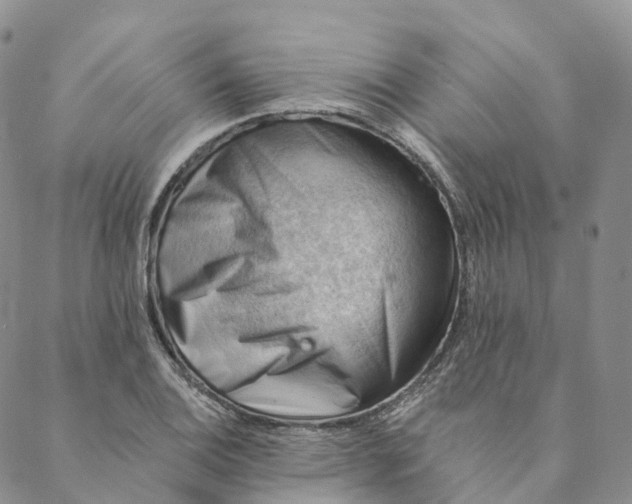 X0000088451124200706121432