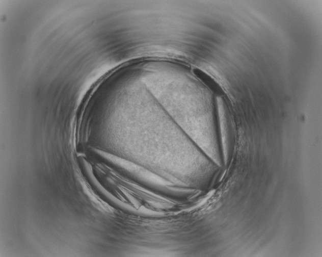 X0000088451128200706121432
