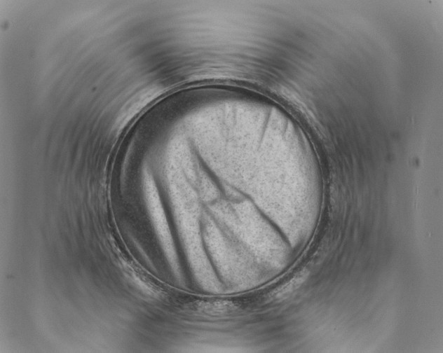 X0000088451129200706121432