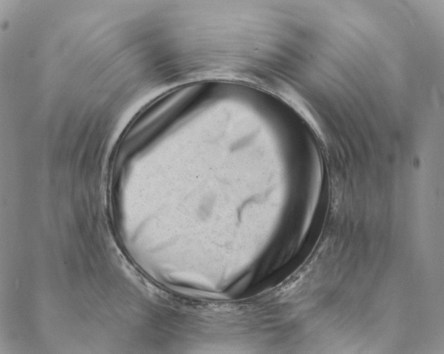 X0000088451148200706121432