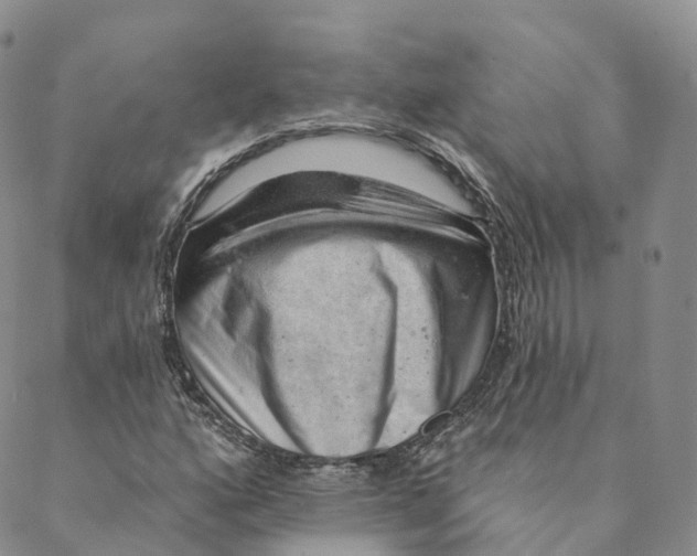 X0000088451160200706121432