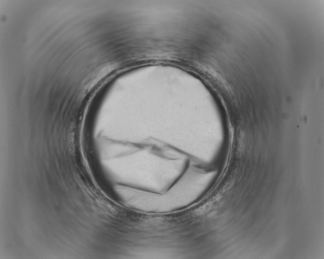 X0000088451162200706121432