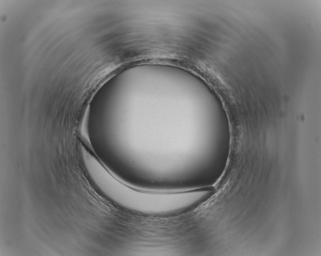 X0000088451169200706121431