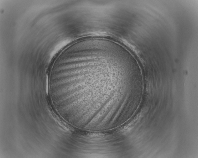 X0000088451171200706121431