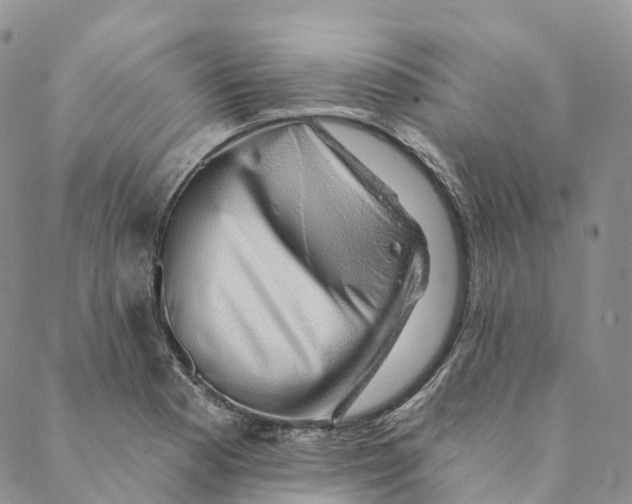 X0000088451177200706121431