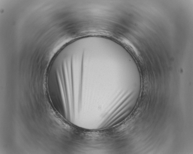 X0000088451182200706121431