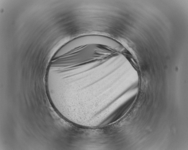 X0000088451189200706121431