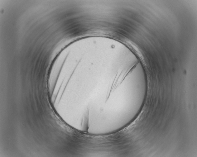 X0000088451192200706121431