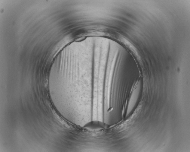 X0000088451193200706121431