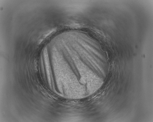 X0000088451205200706121430
