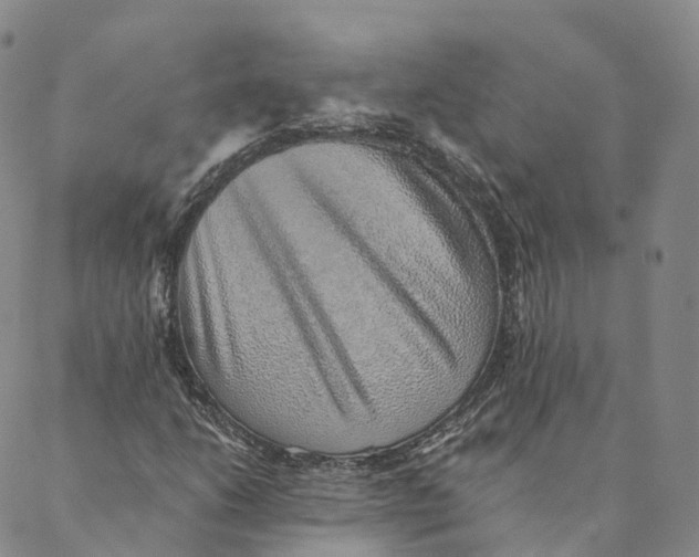 X0000088451206200706121430