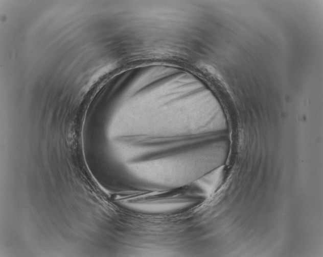 X0000088451210200706121430