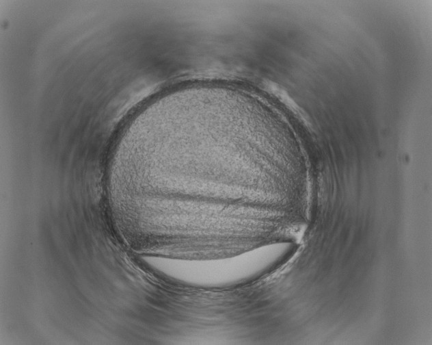 X0000088451213200706121430