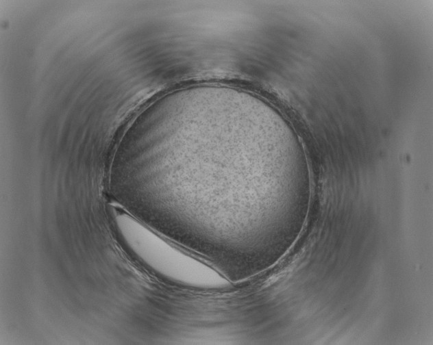 X0000088451217200706121430