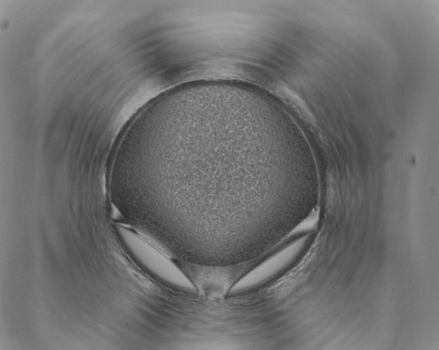 X0000088451226200706121431
