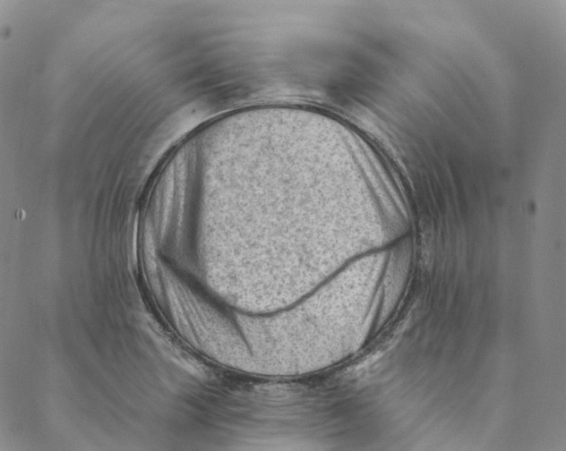 X0000088451227200706121431