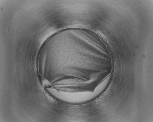 X0000088451230200706121431