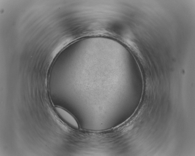 X0000088451234200706121431