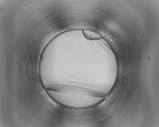 X0000088451236200706121431