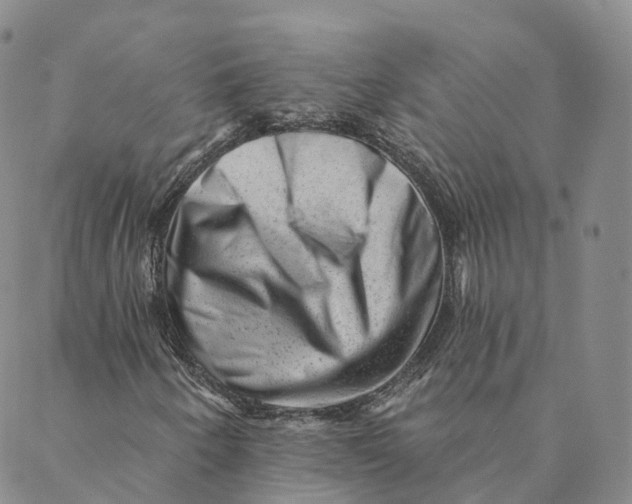 X0000088451250200706121430