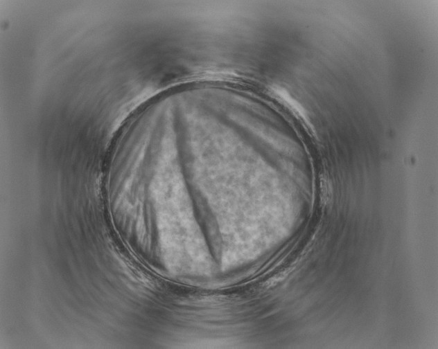 X0000088451260200706121430