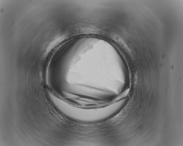 X0000088451261200706121430