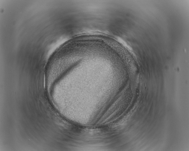 X0000088451269200706121430