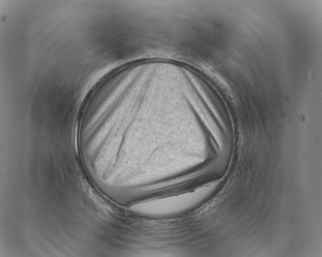 X0000088451272200706121430
