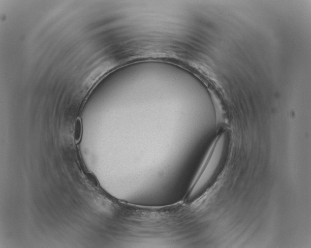 X0000088451273200706121430