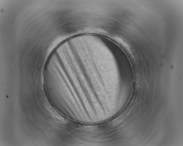 X0000088451280200706121430