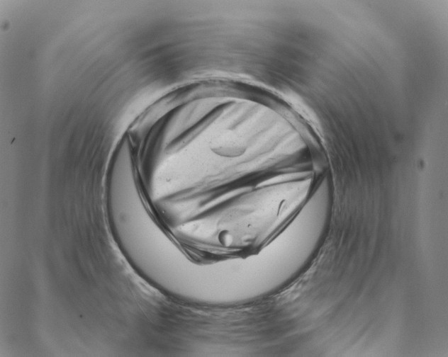 X0000088451287200706121430