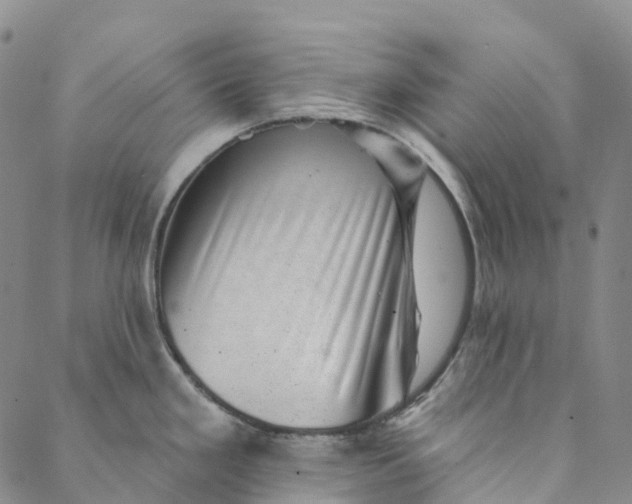 X0000088451293200706121429