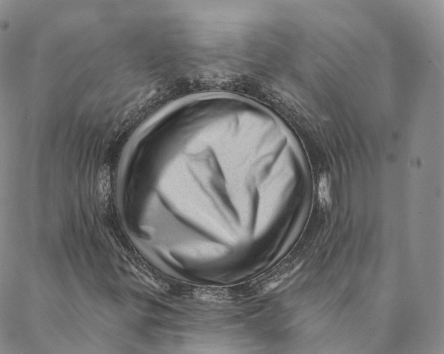 X0000088451299200706121429
