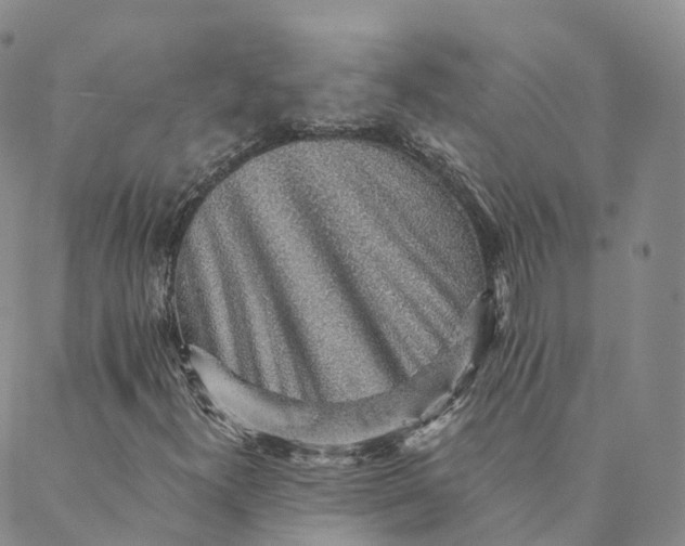 X0000088451300200706121429