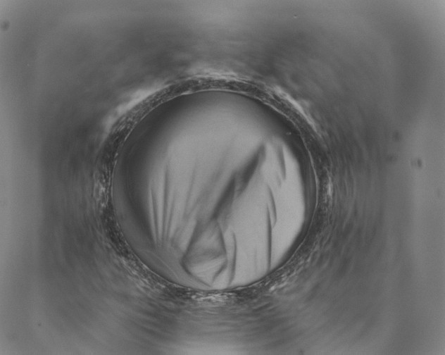 X0000088451303200706121429