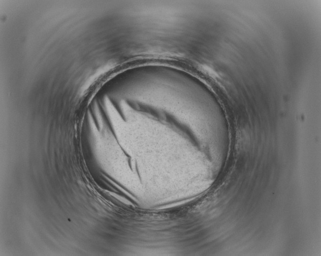 X0000088451307200706121429