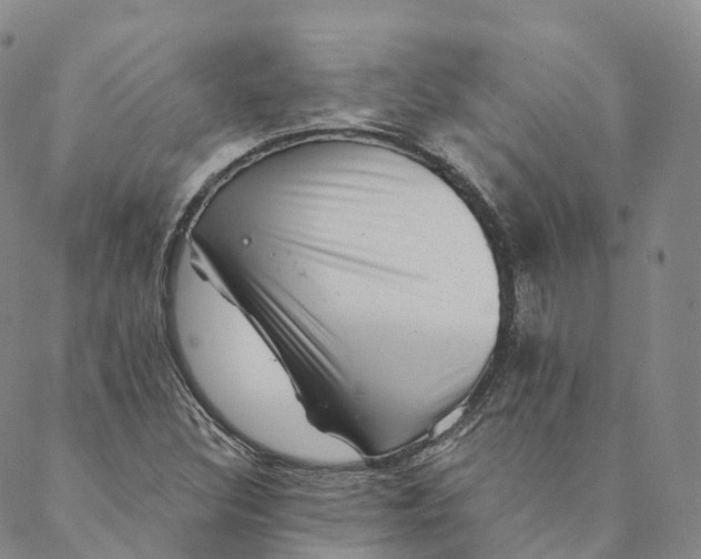 X0000088451308200706121429