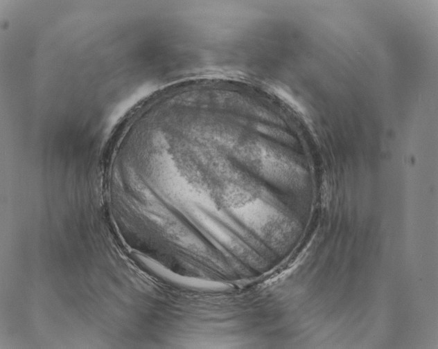 X0000088451310200706121429