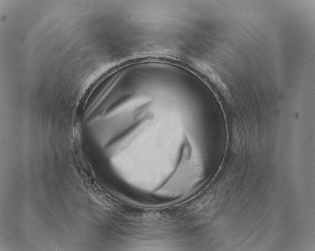X0000088451316200706121429