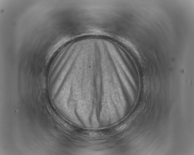 X0000088451318200706121429