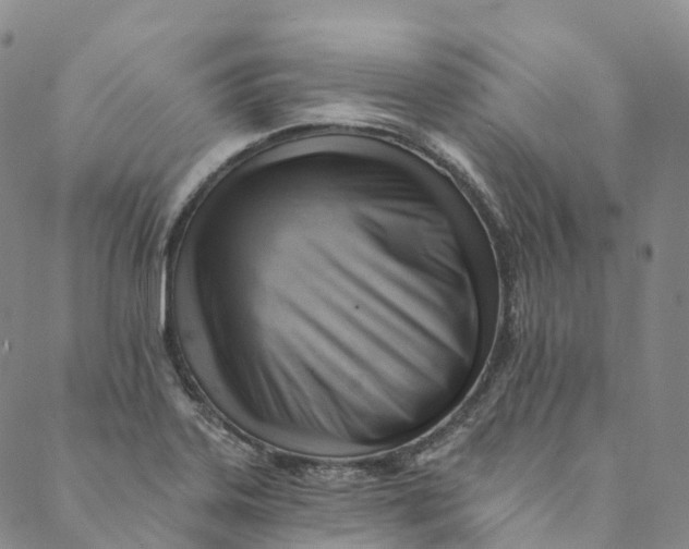 X0000088451323200706121429