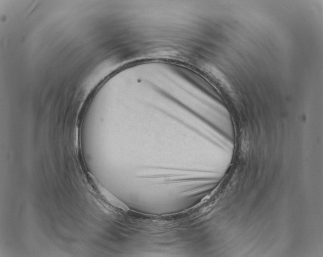 X0000088451324200706121429